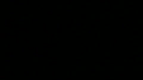 The New Adventures Of Pinocchio Fragmanı