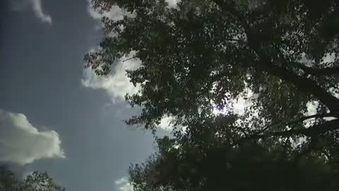 Hey, Boo: Harper Lee And \'to Kill A Mockingbird\' Fragmanı