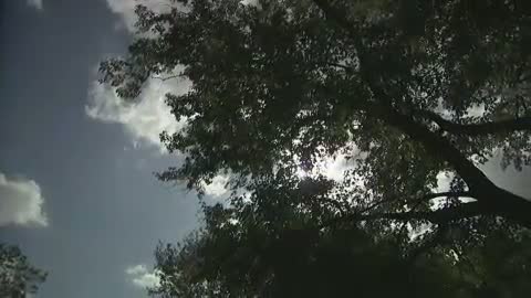 Hey, Boo: Harper Lee And \'to Kill A Mockingbird\' Fragmanı