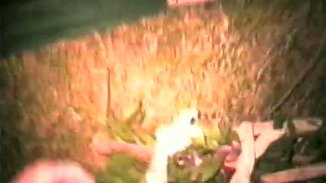 The Bogus Witch Project Fragmanı