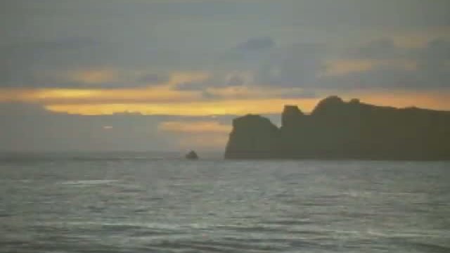 Krocodylus Fragmanı