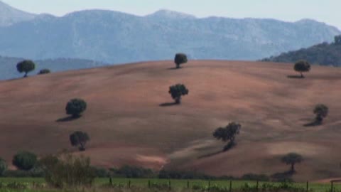 En tu ausencia Fragmanı