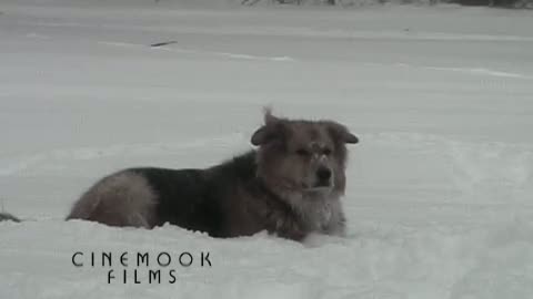 Back To Manhattan Fragmanı