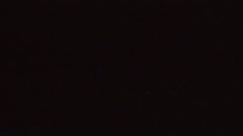 Leprechaun: Back 2 Tha Hood Fragmanı