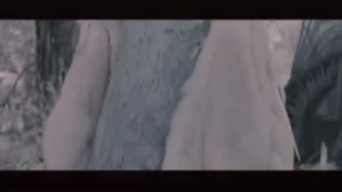 Narnia Günlükleri: Aslan, Cadı ve Dolap klip 8