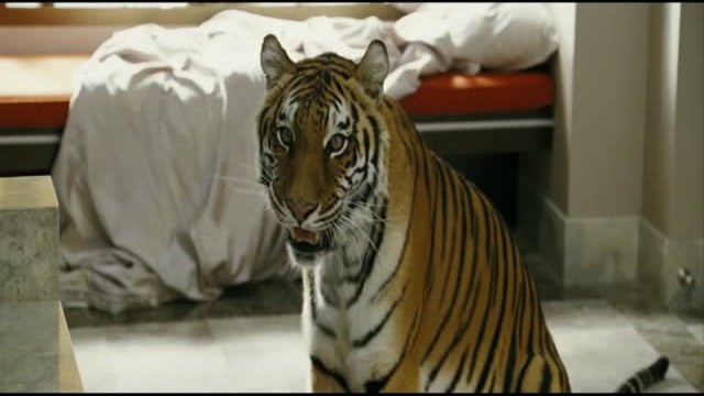 The Hangover Kısa klip 3