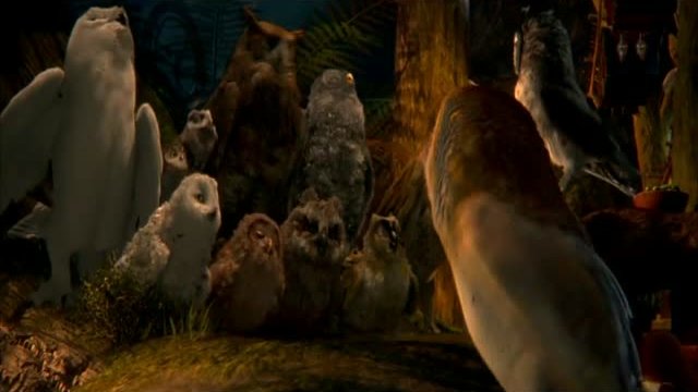 Legend of the Guardians Kısa klip 1