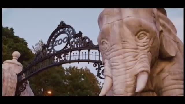 The Zookeeper Kısa Klip