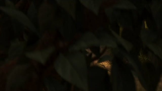 Sherk 4 Kısa klip 3