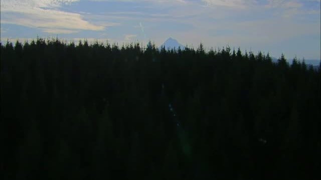 Hood To Coast 1. Fragmanı