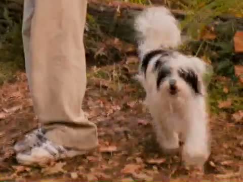 Bridge to Terabithia 4. Fragmanı