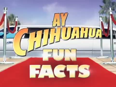 Beverly Hills Chihuahua 2 3. Fragmanı