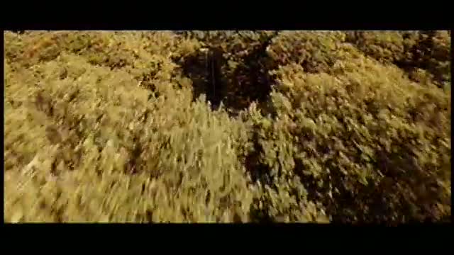 Ne Le Dis a Personne 5. Fragmanı