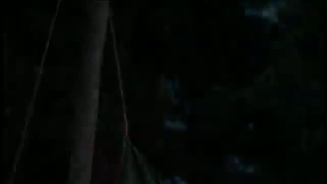 Daddy Day Camp 4. Fragmanı