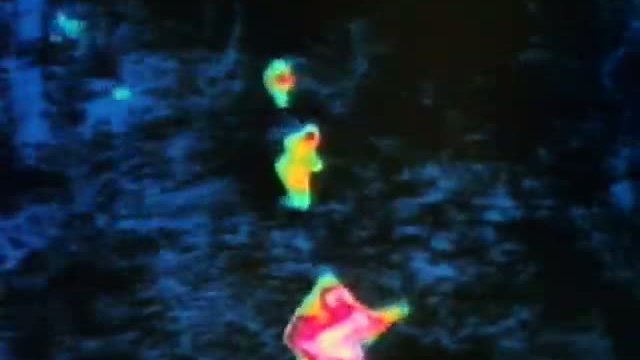 Predator 2 3. Fragmanı