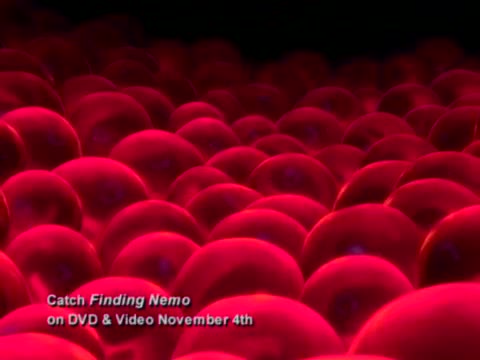 Finding Nemo 3. Fragmanı