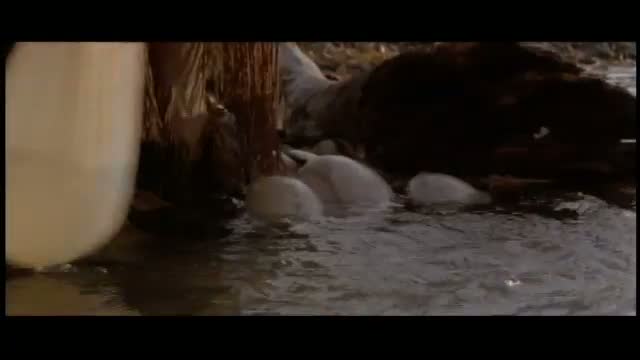 Dances With Wolves 8. Fragmanı