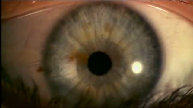 The Fifth Element 4. Fragmanı