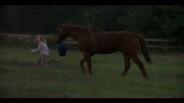 Dreamer: Inspired by a True Story 6. Fragmanı