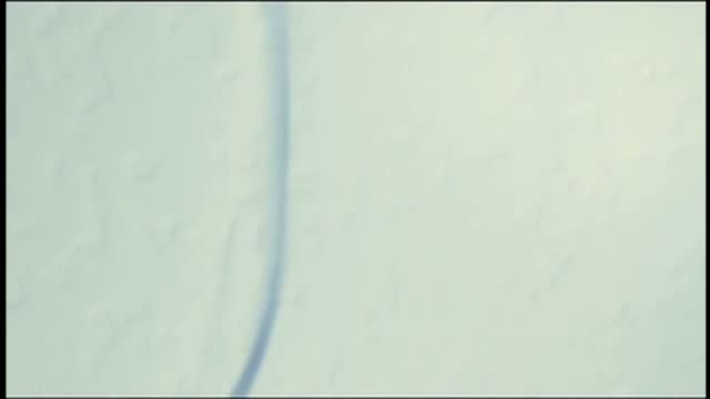 Ice Age 3: Dawn of the Dinosaurs 8. Fragmanı