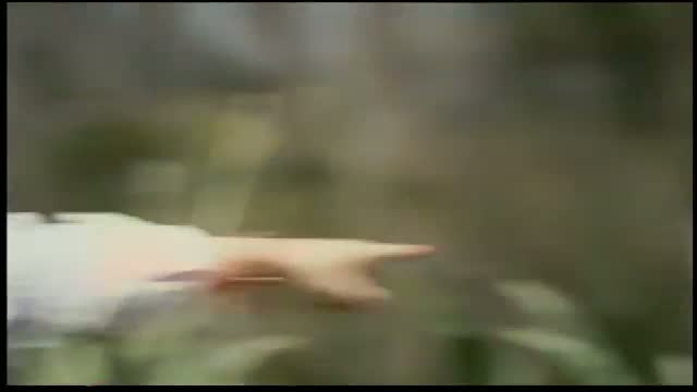 All The King\'s Men 2. Fragmanı