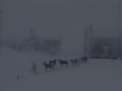 Eight Below 8. Fragmanı