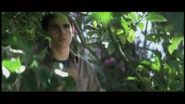 Bee Season 2. Fragmanı