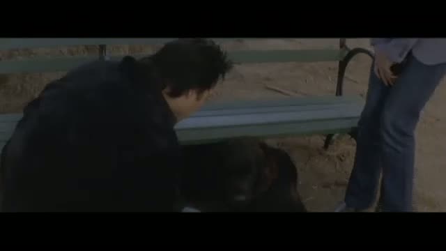 Must Love Dogs 6. Fragmanı