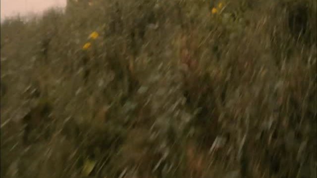 The Greatest Game Ever Played 3. Fragmanı