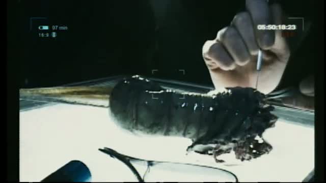 The Cave 4. Fragmanı