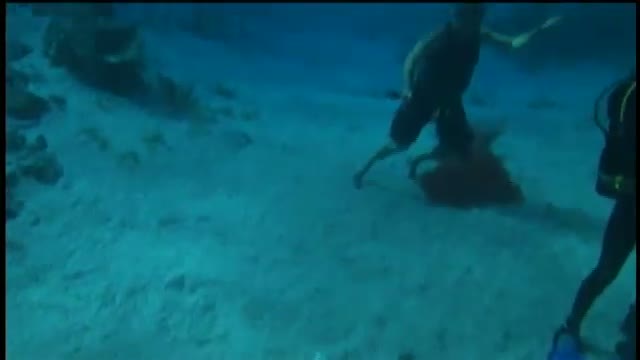 Fool\'s Gold 2. Fragmanı