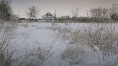 Lars And The Real Girl 2. Fragmanı