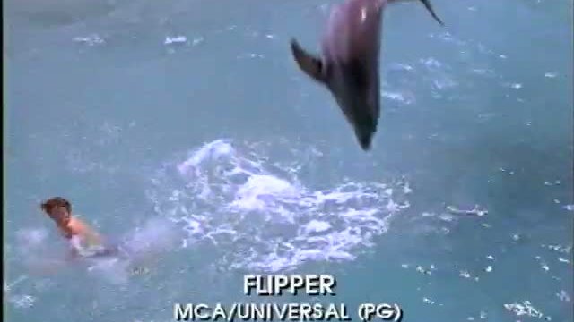 Flipper 2. Fragmanı