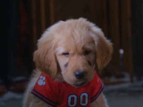 Snow Buddies 3. Fragmanı