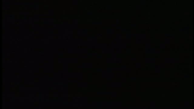 Airplane II: The Sequel 3. Fragmanı