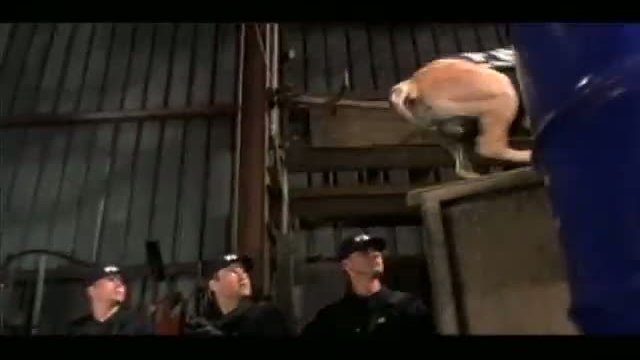 See Spot Run 3. Fragmanı