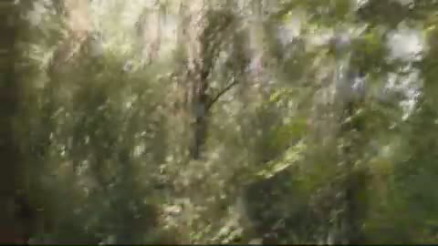 The Boy in the Striped Pyjamas 11. Fragmanı