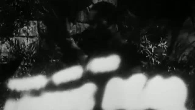 Zombies On Broadway 2. Fragmanı