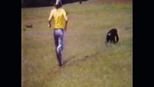 Project Nim 3. Fragmanı