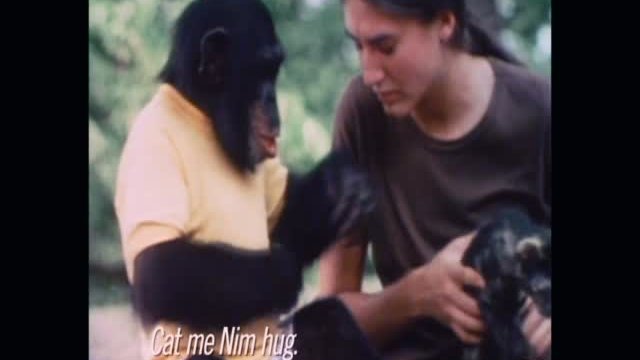 Project Nim 4. Fragmanı