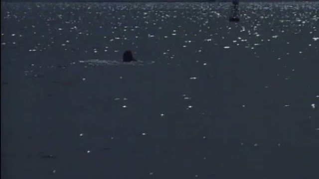 The Pink Panther Strikes Again 2. Fragmanı