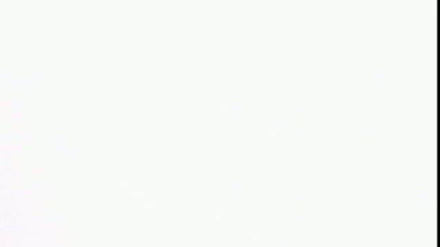 The Madagascar Penguins In A Christmas Caper 6. Fragmanı