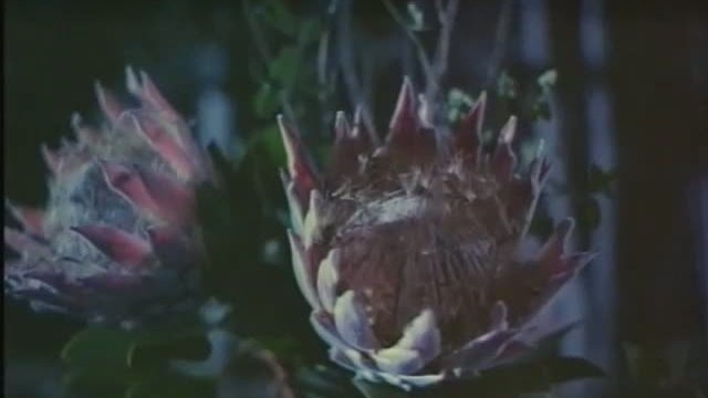 Geronimo: An American Legend 5. Fragmanı