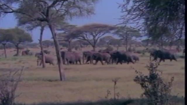 Tons Of Trouble 1. Fragmanı