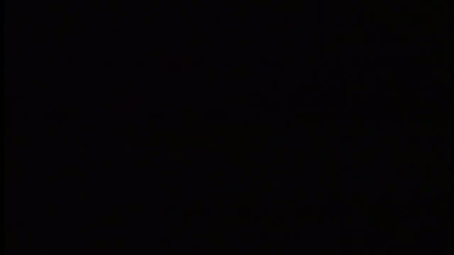 Alexandra\'s Project 3. Fragmanı