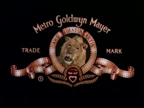 Fatal Instinct 2. Fragmanı