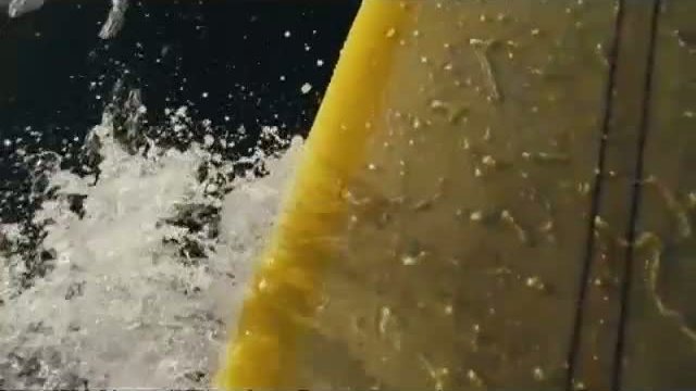 Surfer Dude 7. Fragmanı