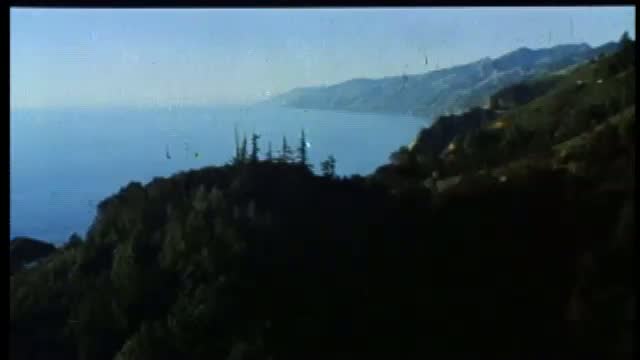 The Sandpiper 2. Fragmanı