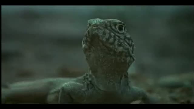 Periplanisi 1. Fragmanı