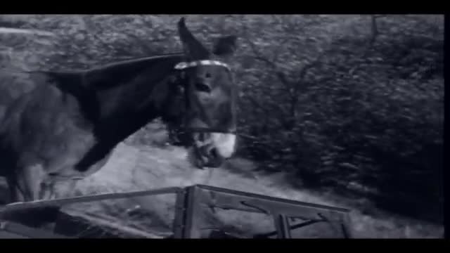 Francis 2. Fragmanı